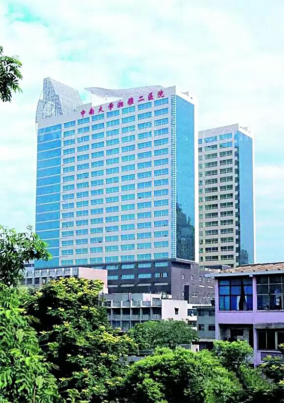 湘雅二医院-锅炉房不锈钢烟囱制安工程