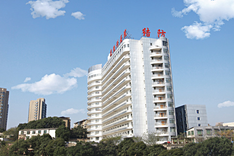 湖南省结核病医院-不锈钢烟囱制安工程